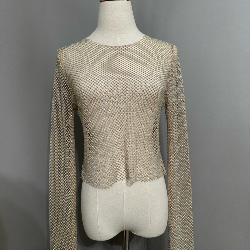 Zara Sheer Mesh Long Sleeve Top